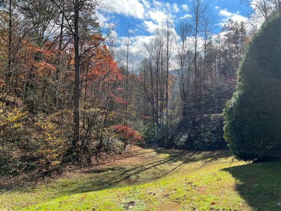 Shiner'S Hollow Villa Gatlinburg Eksteriør bilde